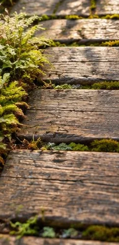 İstanbul Başakşehir Hosdere Ahşap Bahçe Yolu 4 İstanbul Başakşehir Hosdere Ahşap Bahçe Yolu 4