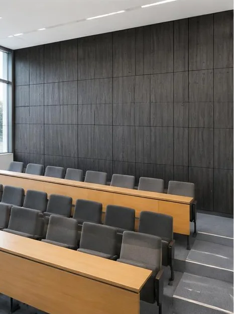 İstanbul Beyoğlu Ciksalin Üniversite Ahşap Duvar Panelleri 5 İstanbul Beyoğlu Ciksalin Üniversite Ahşap Duvar Panelleri 5